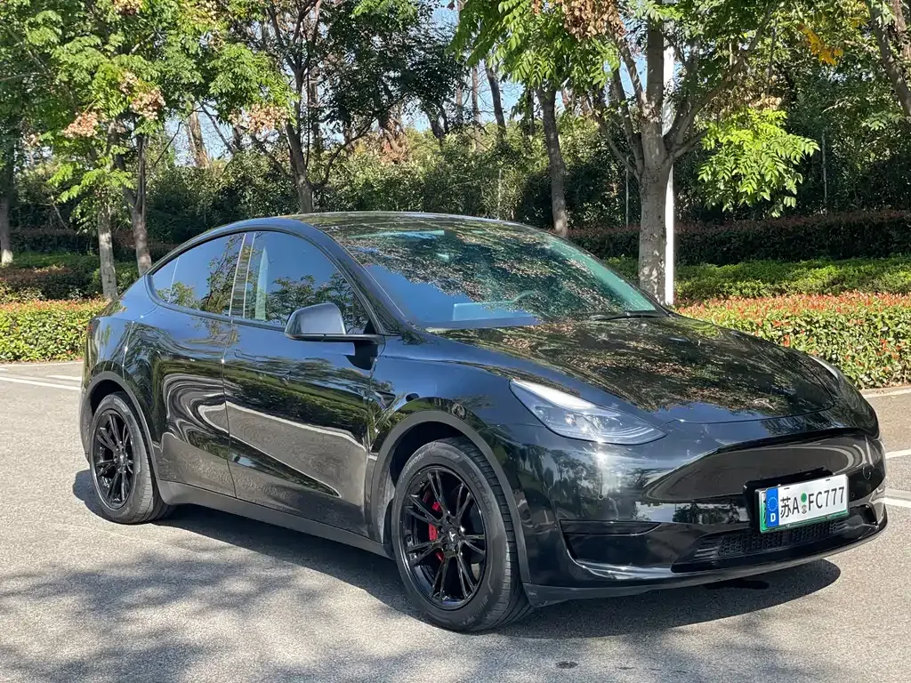 Tesla Model Y 2022 из CN, фото 3