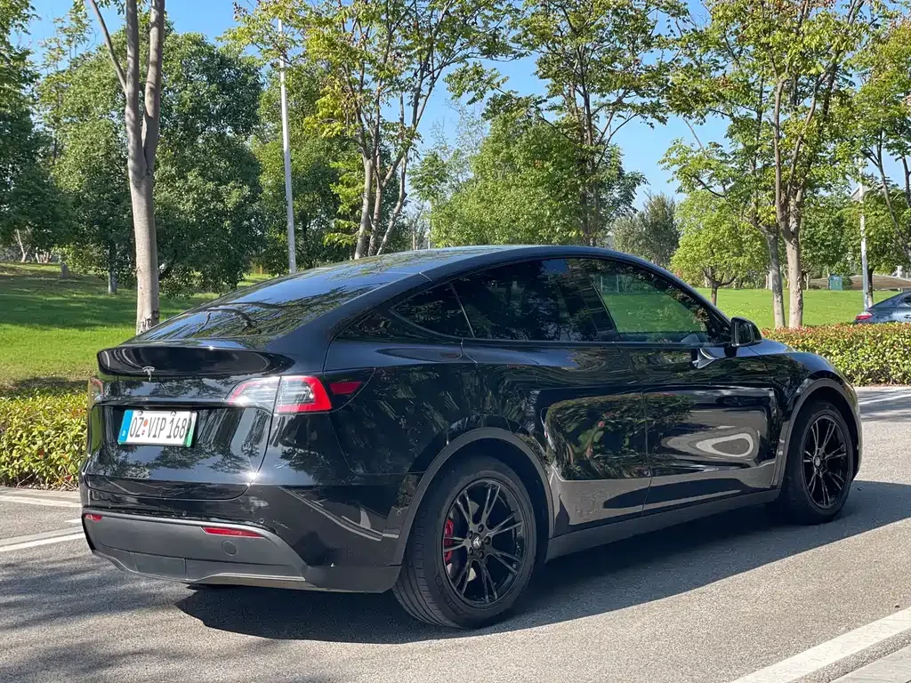 Tesla Model Y 2022 из CN, фото 4
