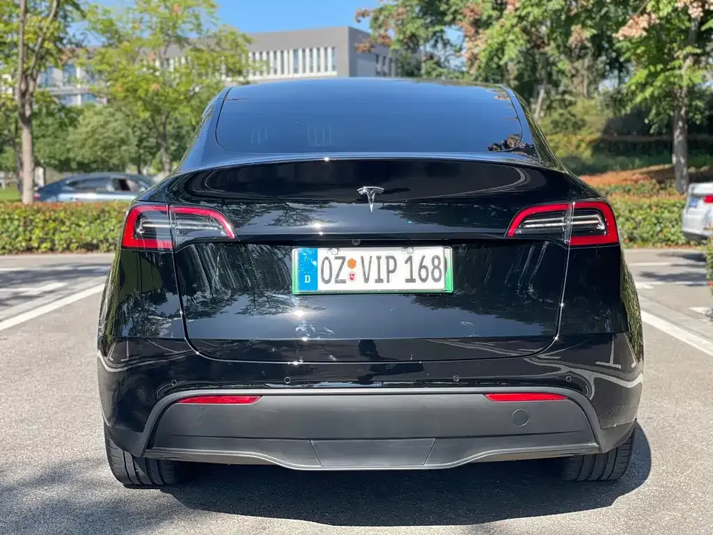 Tesla Model Y 2022 из CN, фото 5