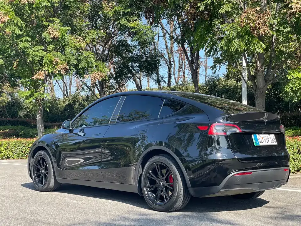 Tesla Model Y 2022 из CN, фото 6