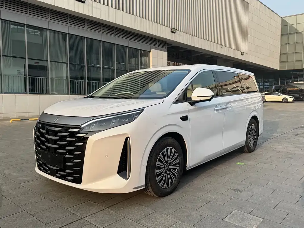 BYD Xia 2025 из CN, фото 1