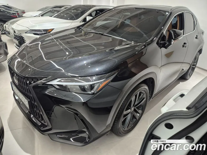 Lexus NX 2025 из KR, фото 1