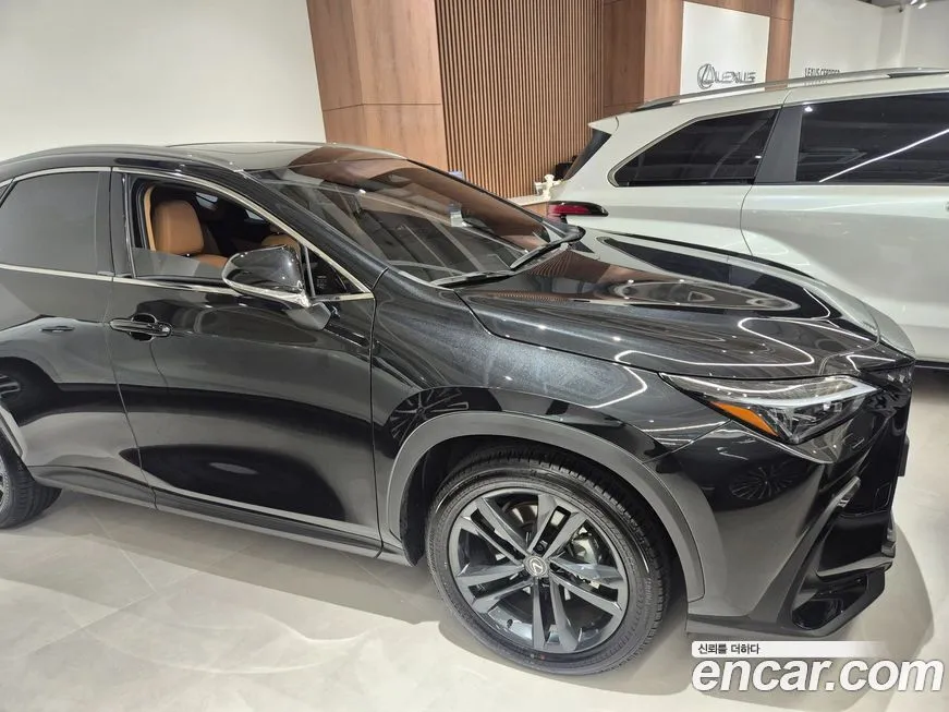 Lexus NX 2025 из KR, фото 3