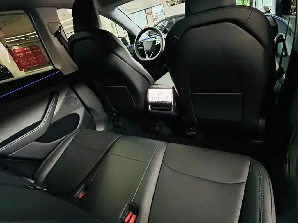 Tesla Model Y 2025 из CN, фото 10