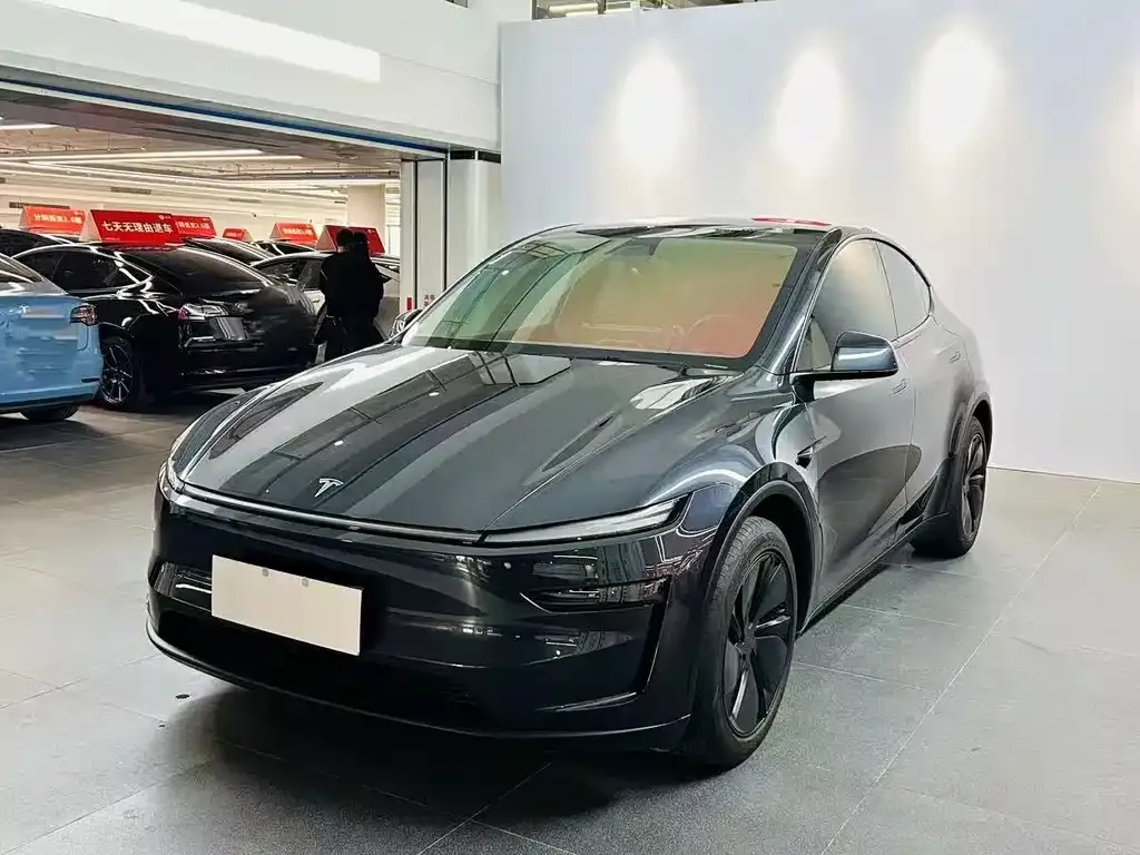 Tesla Model Y 2025 из CN, фото 2