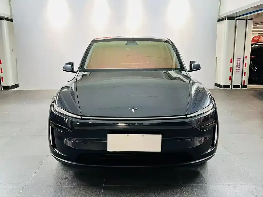 Tesla Model Y 2025 из CN, фото 3