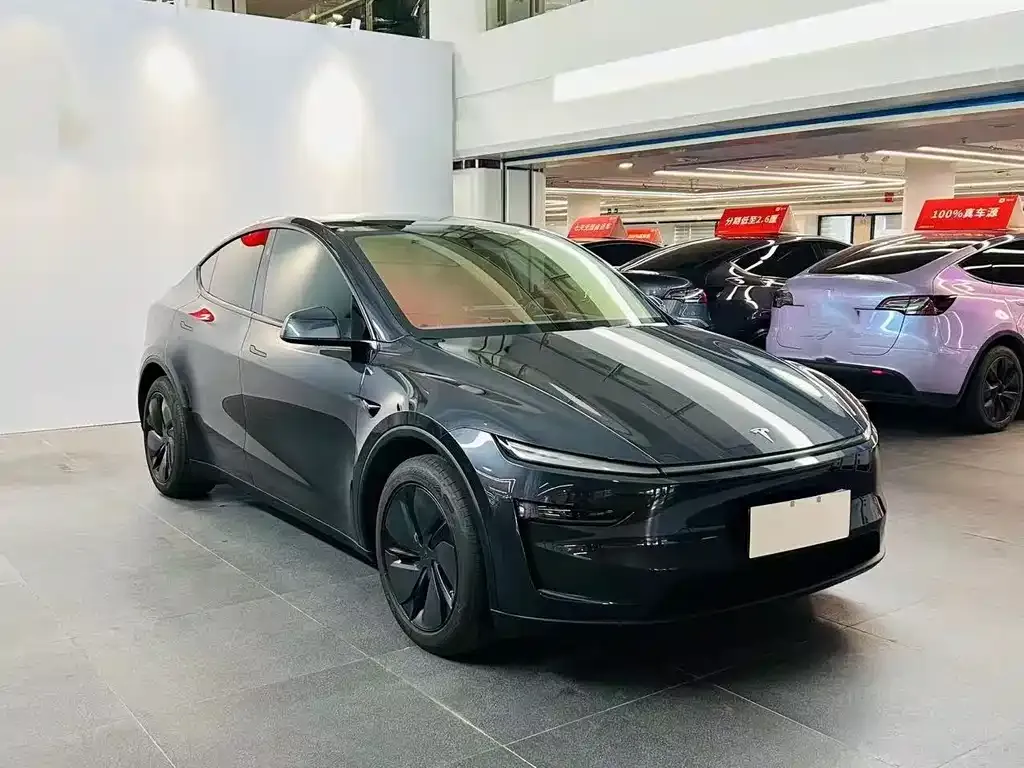 Tesla Model Y 2025 из CN, фото 4