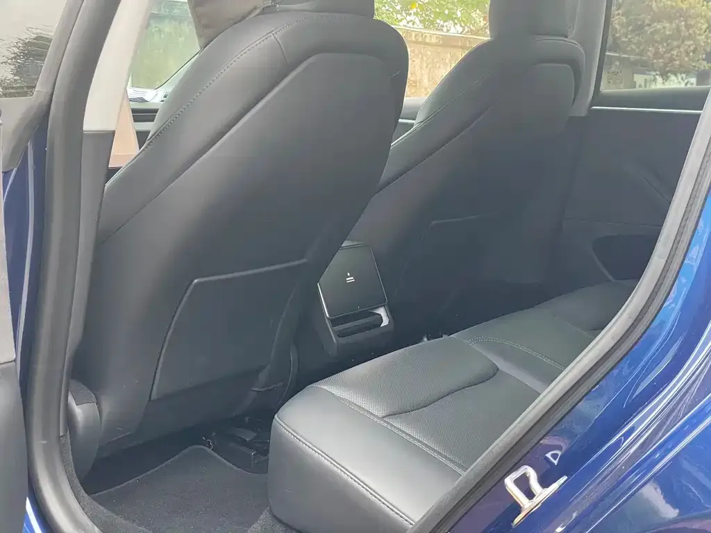 Tesla Model 3 2023 из CN, фото 9