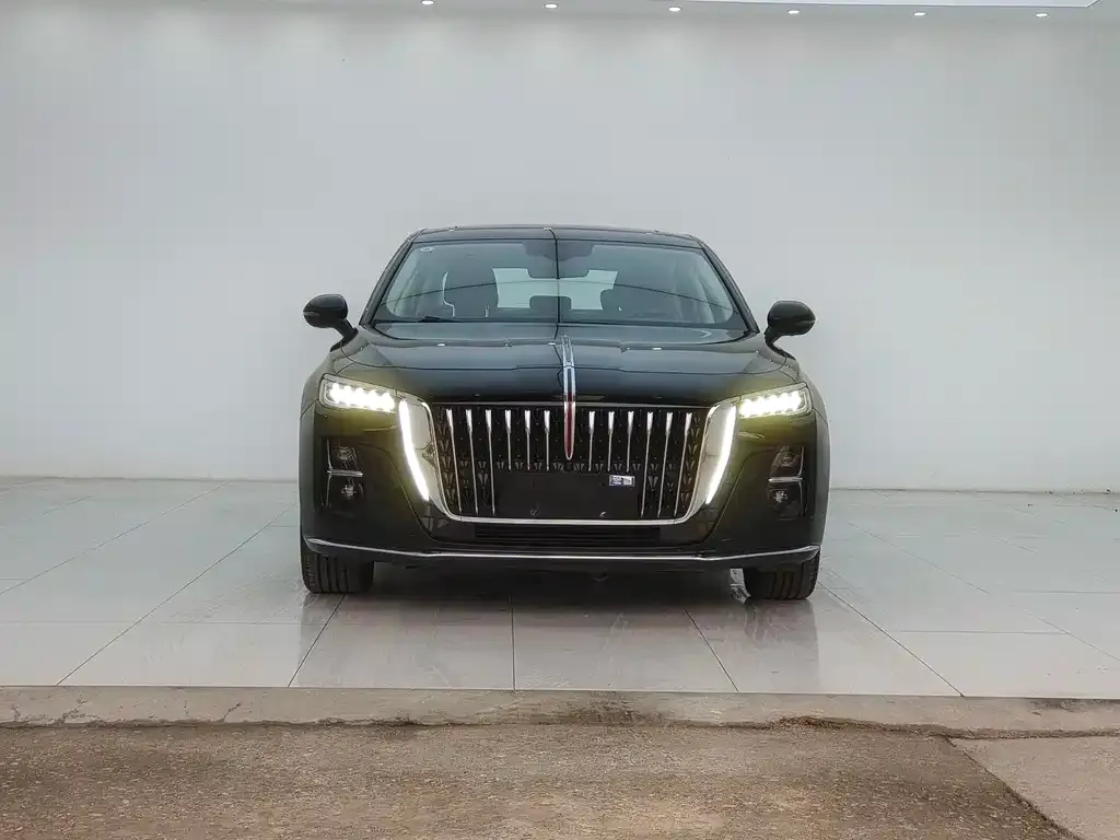 Hongqi H5 2023 из CN, фото 2