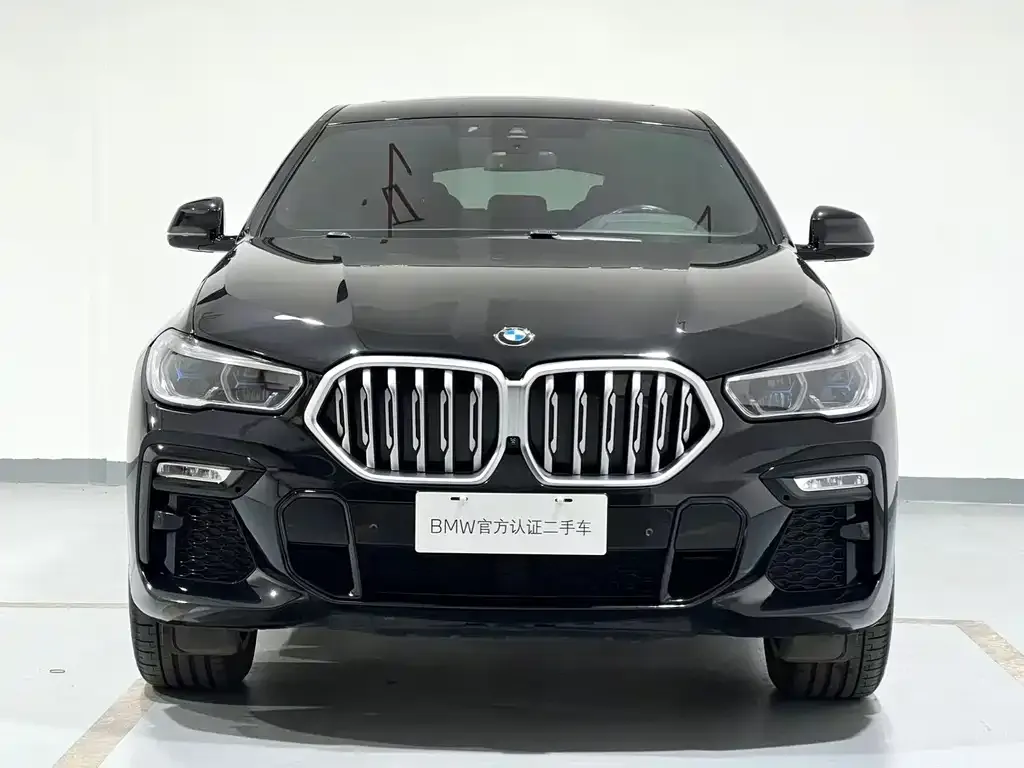 BMW X6 2021 из CN, фото 2
