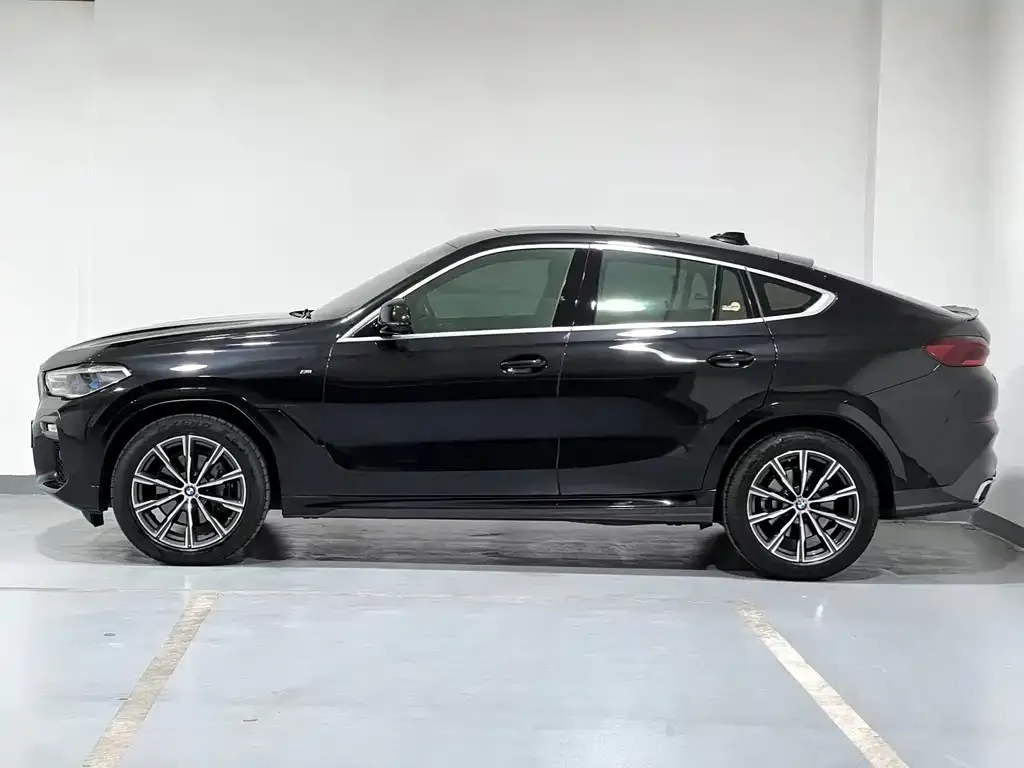 BMW X6 2021 из CN, фото 4