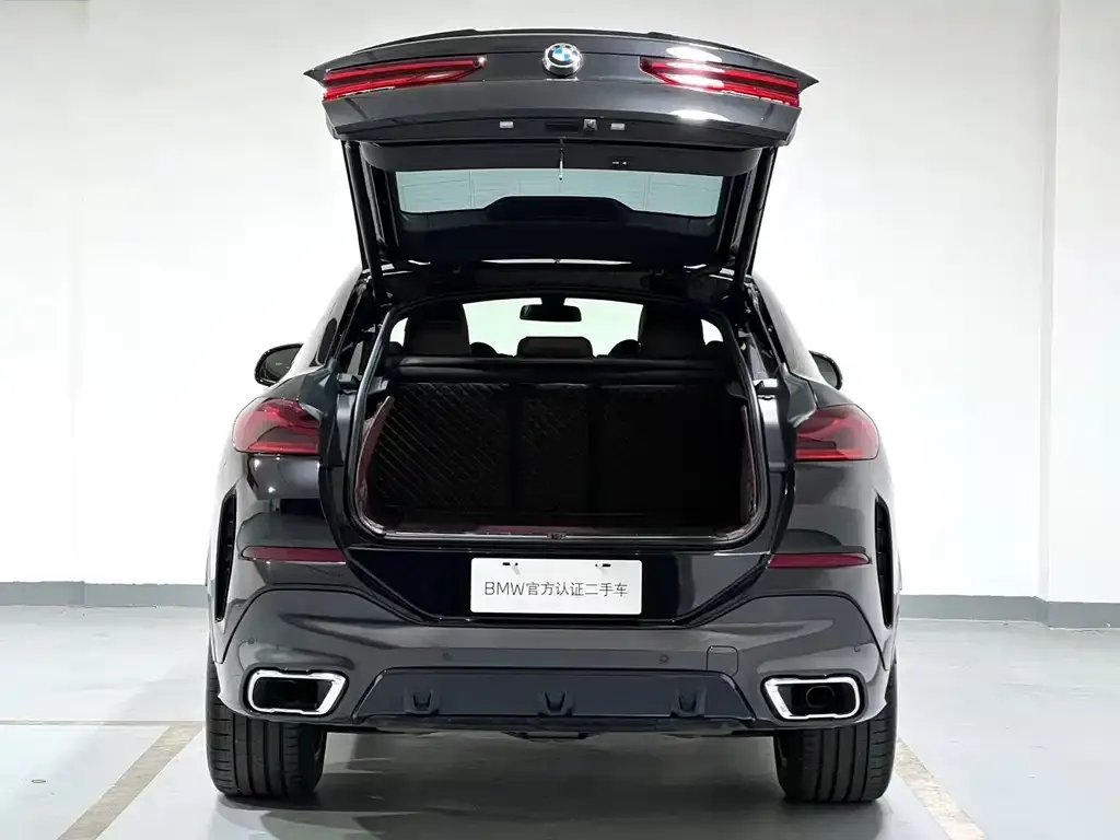BMW X6 2021 из CN, фото 8