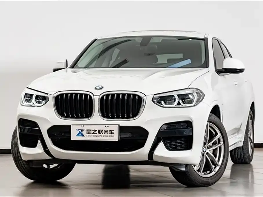 BMW X4 2021 из CN, фото 3