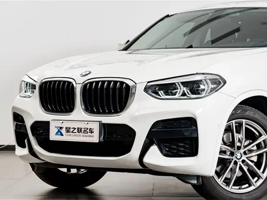BMW X4 2021 из CN, фото 4