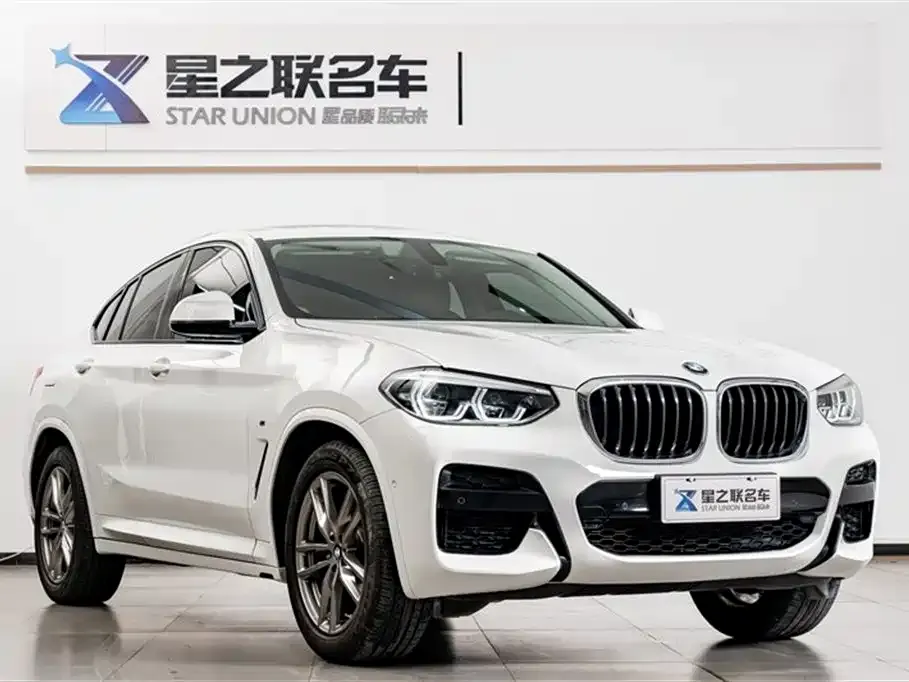 BMW X4 2021 из CN, фото 6