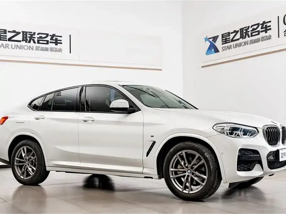 BMW X4 2021 из CN, фото 7