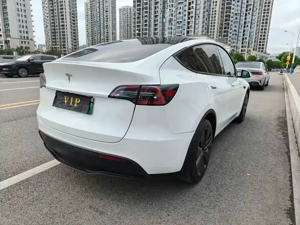 Tesla Model Y 2022 из CN, фото 1