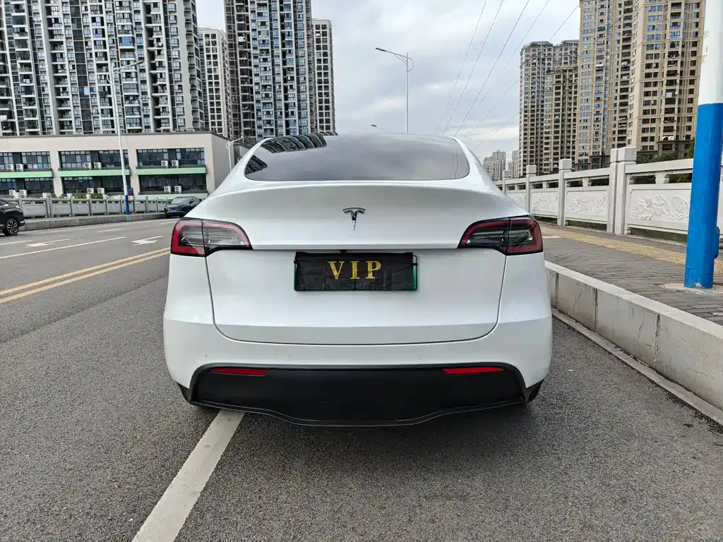 Tesla Model Y 2022 из CN, фото 2