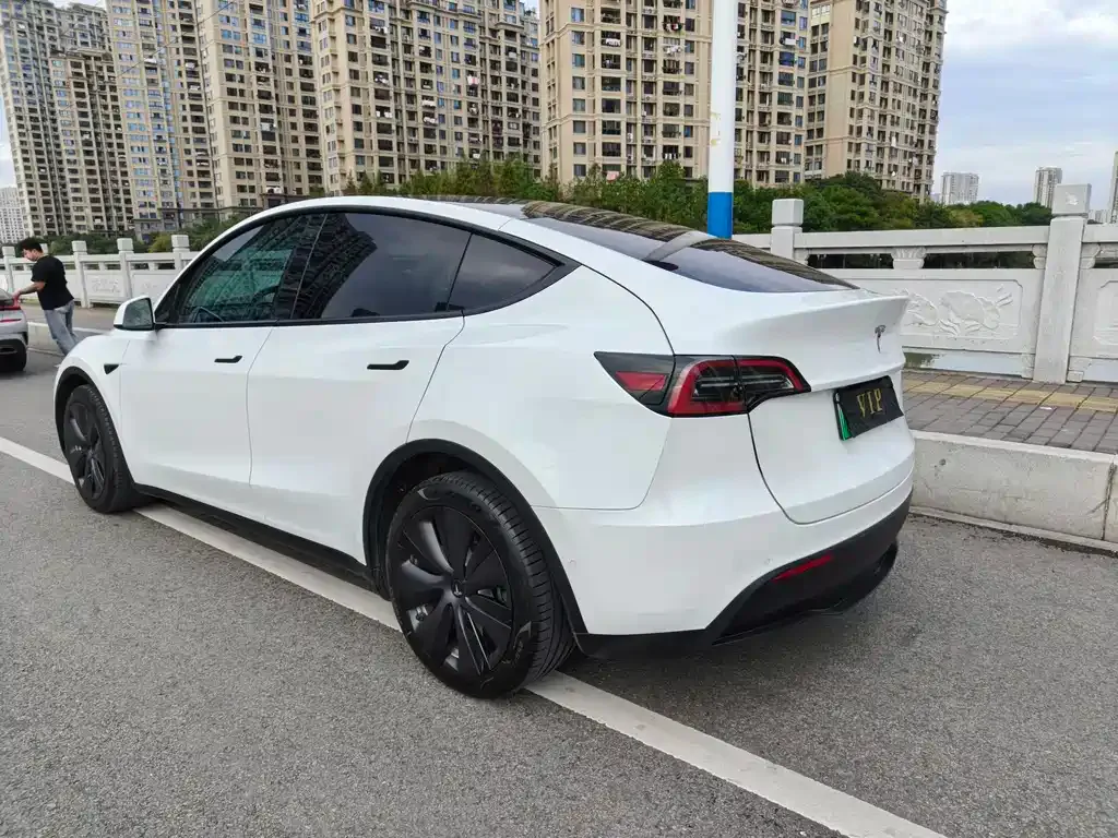 Tesla Model Y 2022 из CN, фото 3