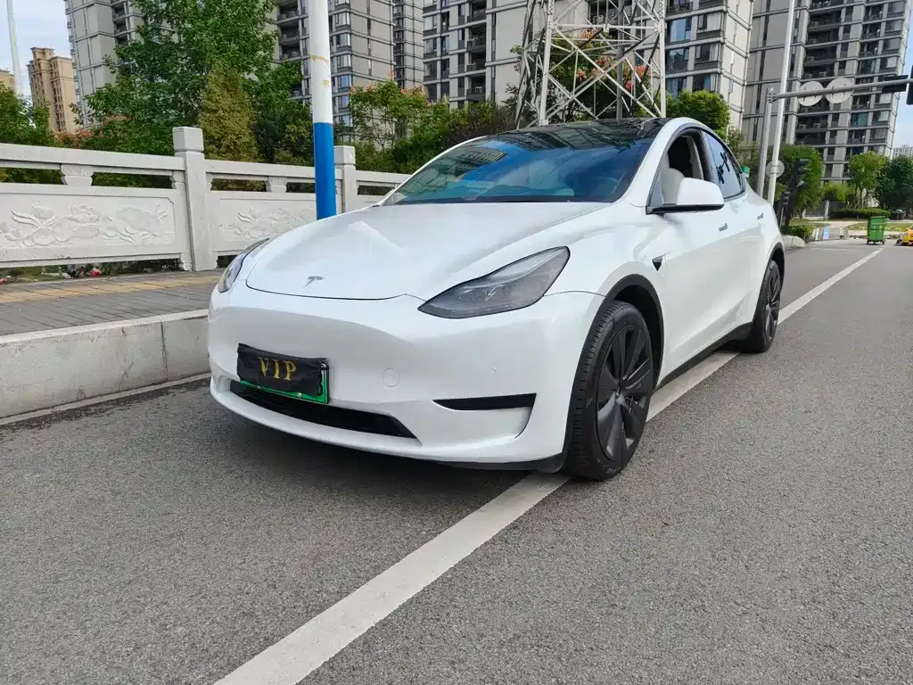 Tesla Model Y 2022 из CN, фото 4