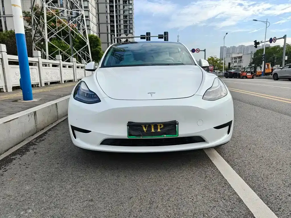 Tesla Model Y 2022 из CN, фото 5