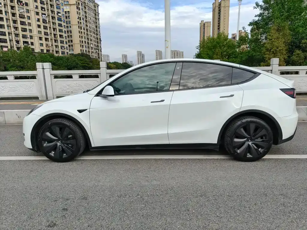 Tesla Model Y 2022 из CN, фото 7