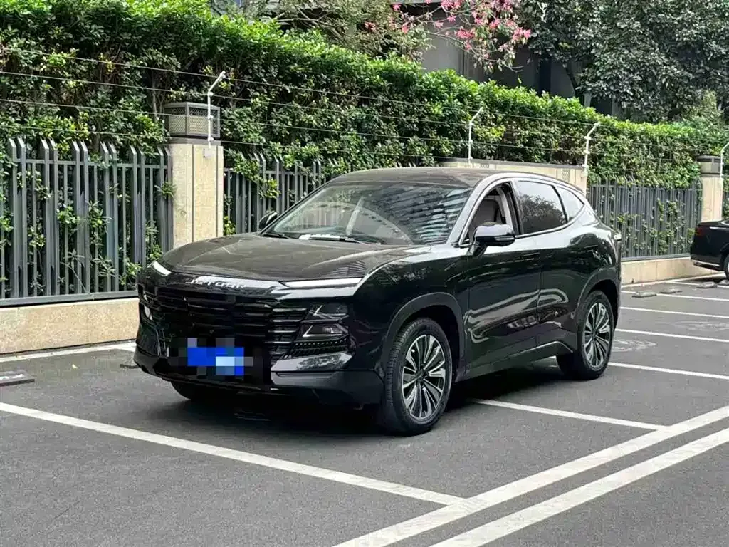 Jetour Dasheng 2022 из CN, фото 1
