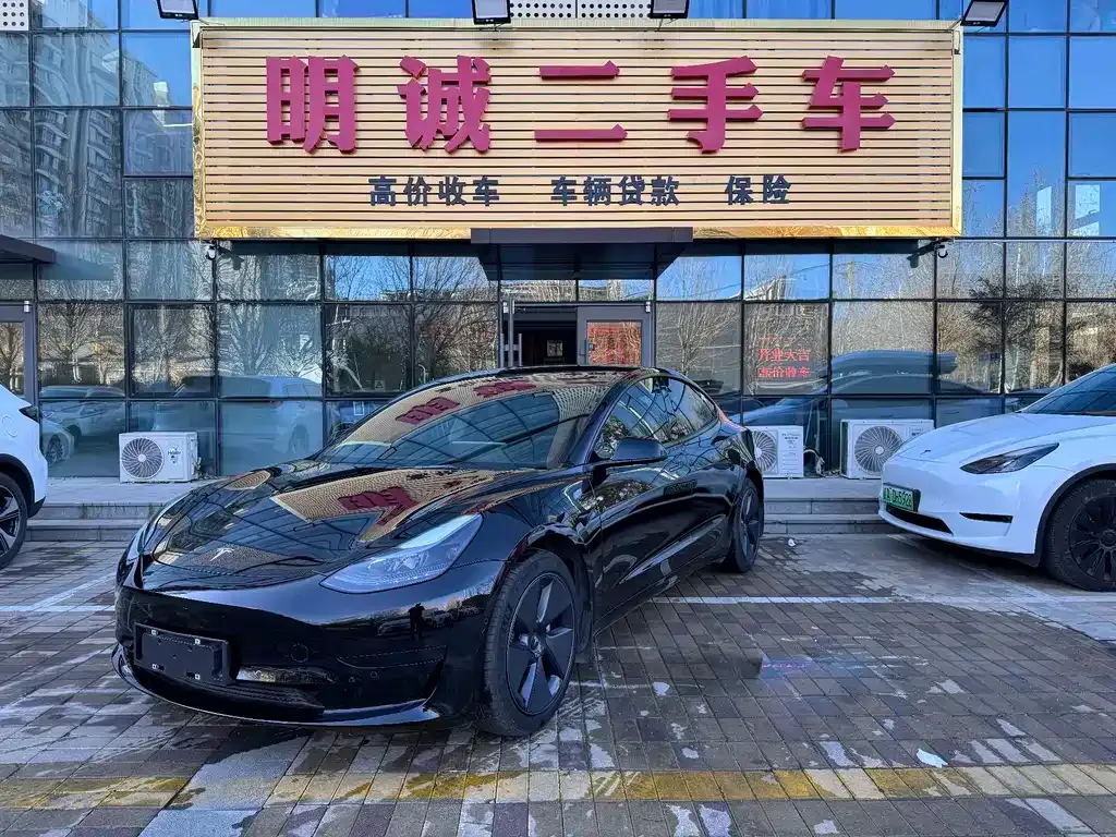 Tesla Model 3 2021 из CN, фото 1