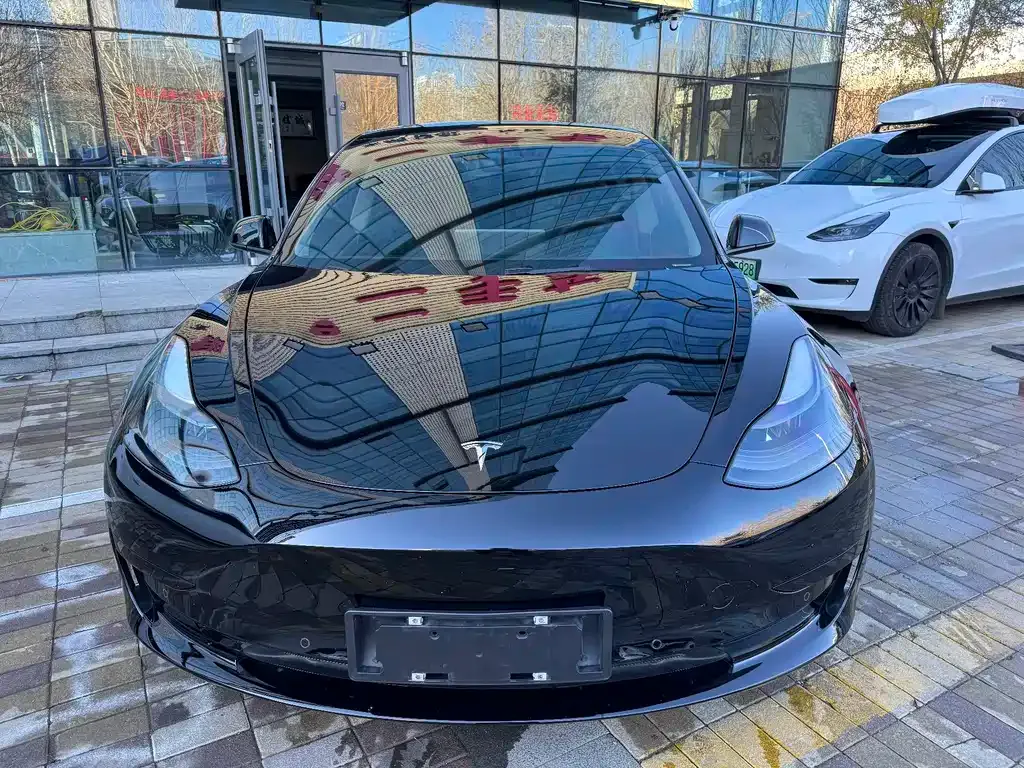 Tesla Model 3 2021 из CN, фото 2