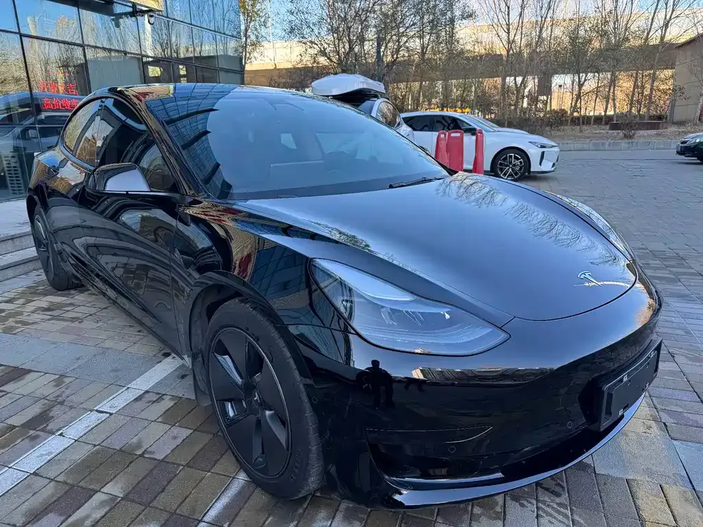 Tesla Model 3 2021 из CN, фото 3