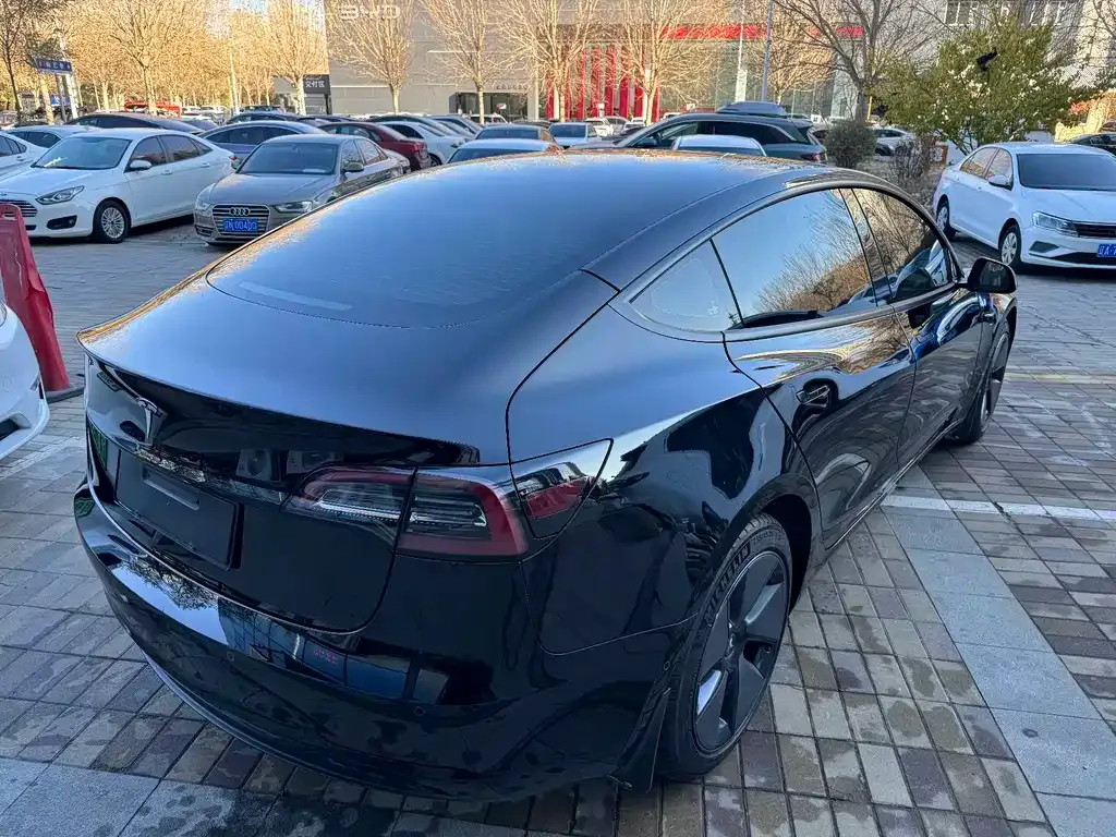 Tesla Model 3 2021 из CN, фото 4