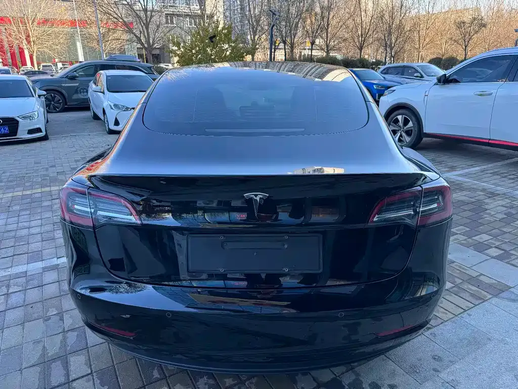 Tesla Model 3 2021 из CN, фото 5