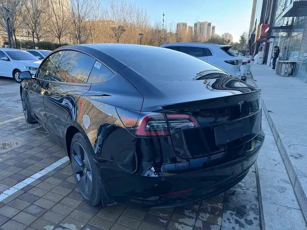 Tesla Model 3 2021 из CN, фото 6