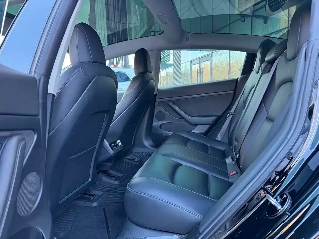 Tesla Model 3 2021 из CN, фото 8