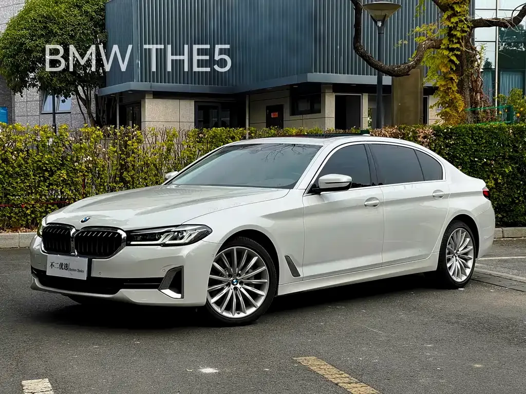 BMW 5 Series 2022 из CN, фото 1