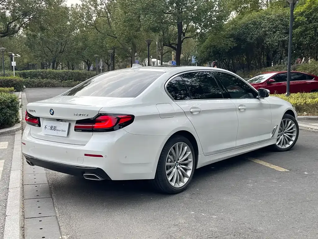 BMW 5 Series 2022 из CN, фото 10
