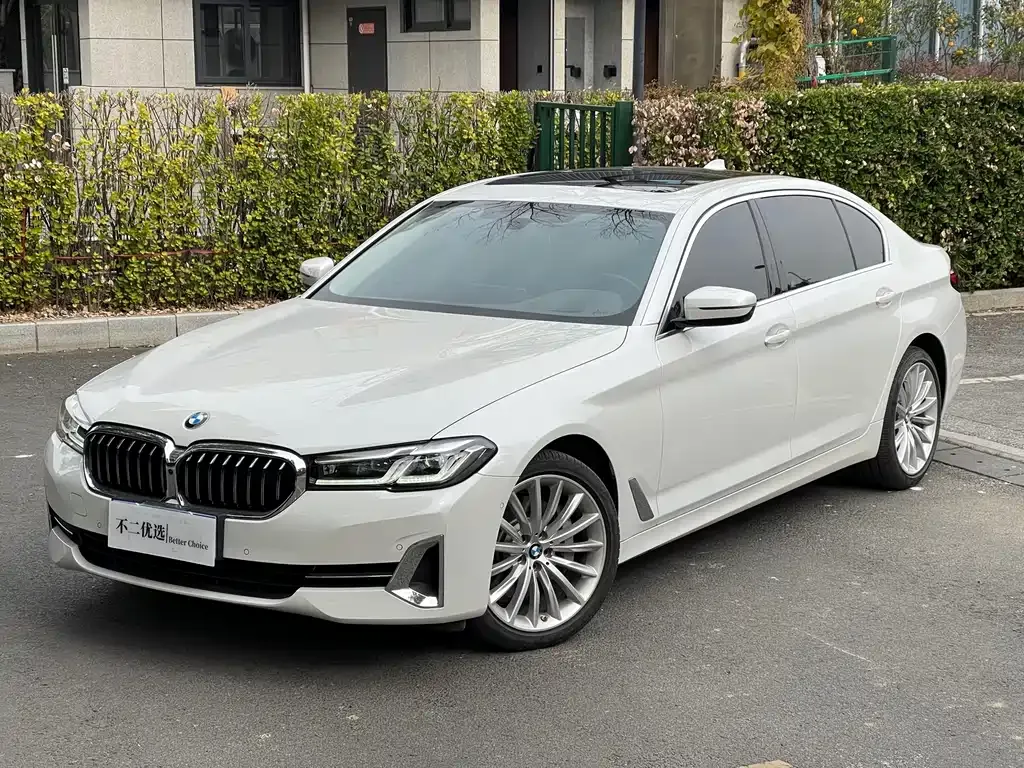 BMW 5 Series 2022 из CN, фото 2