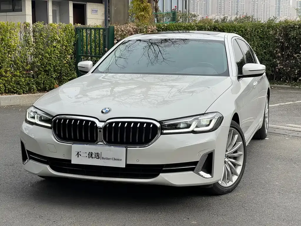 BMW 5 Series 2022 из CN, фото 3