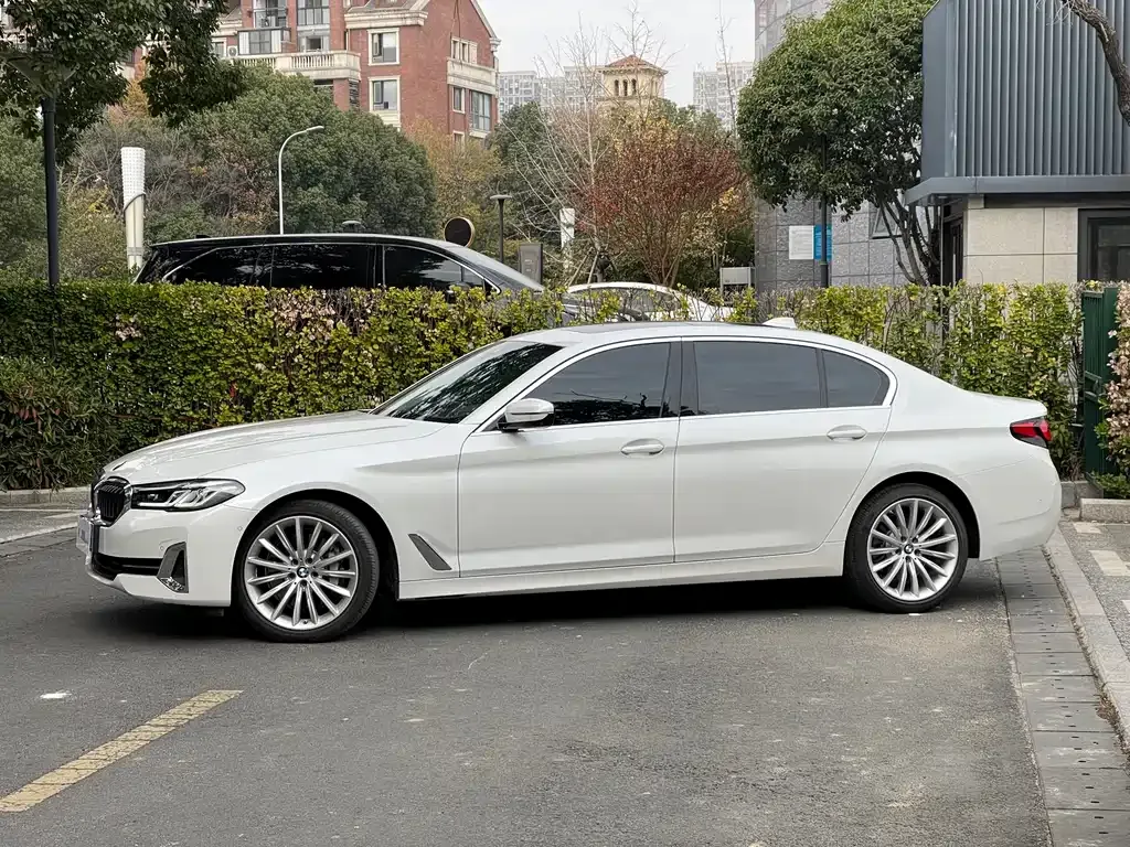 BMW 5 Series 2022 из CN, фото 4