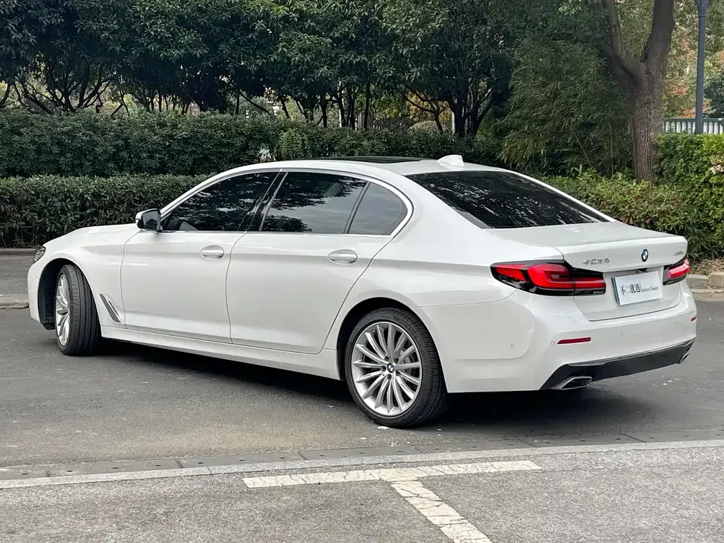 BMW 5 Series 2022 из CN, фото 5