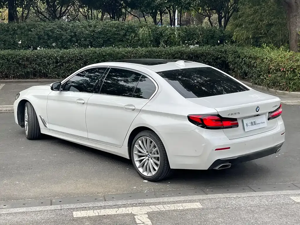BMW 5 Series 2022 из CN, фото 6