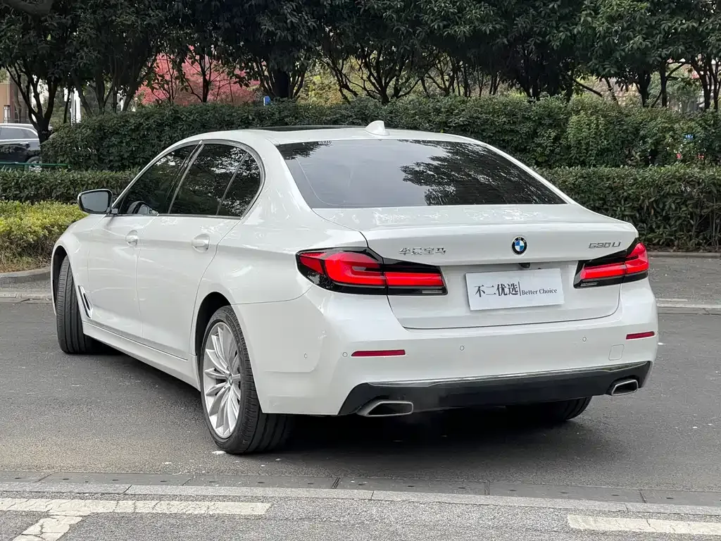 BMW 5 Series 2022 из CN, фото 7