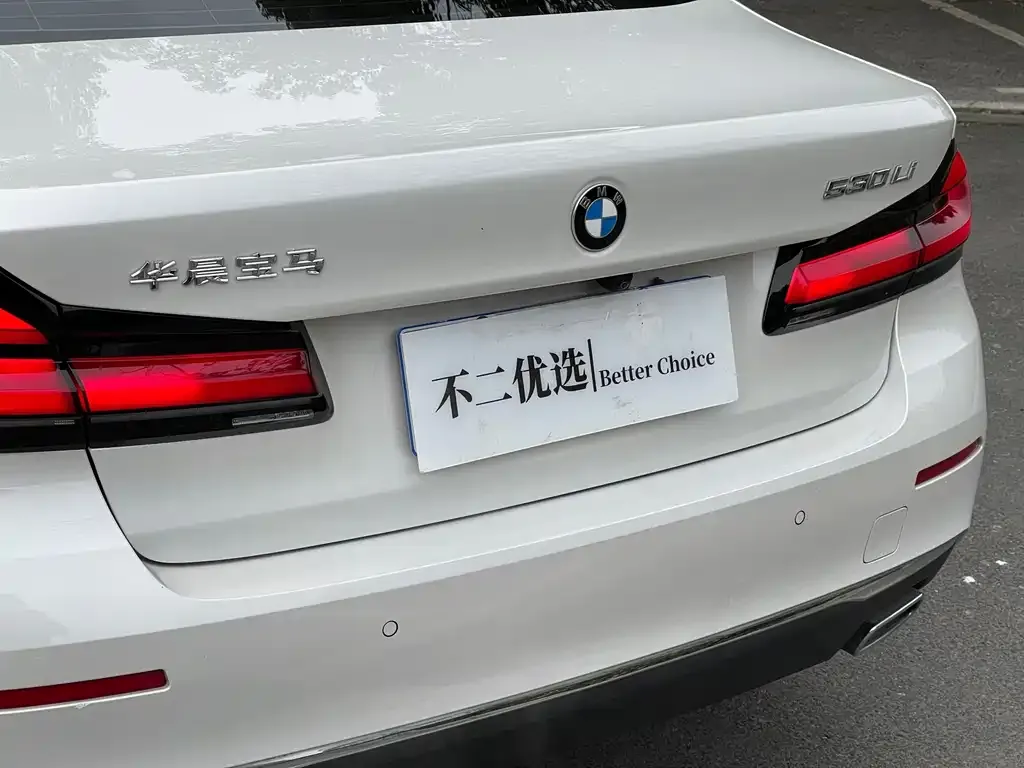 BMW 5 Series 2022 из CN, фото 8