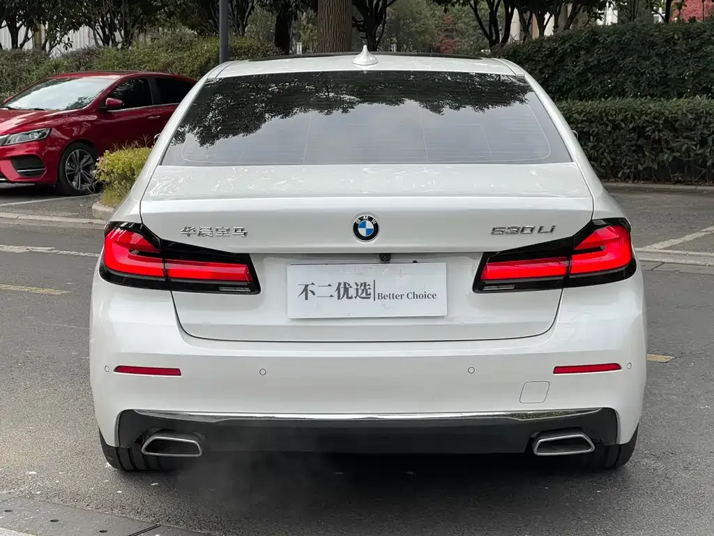 BMW 5 Series 2022 из CN, фото 9
