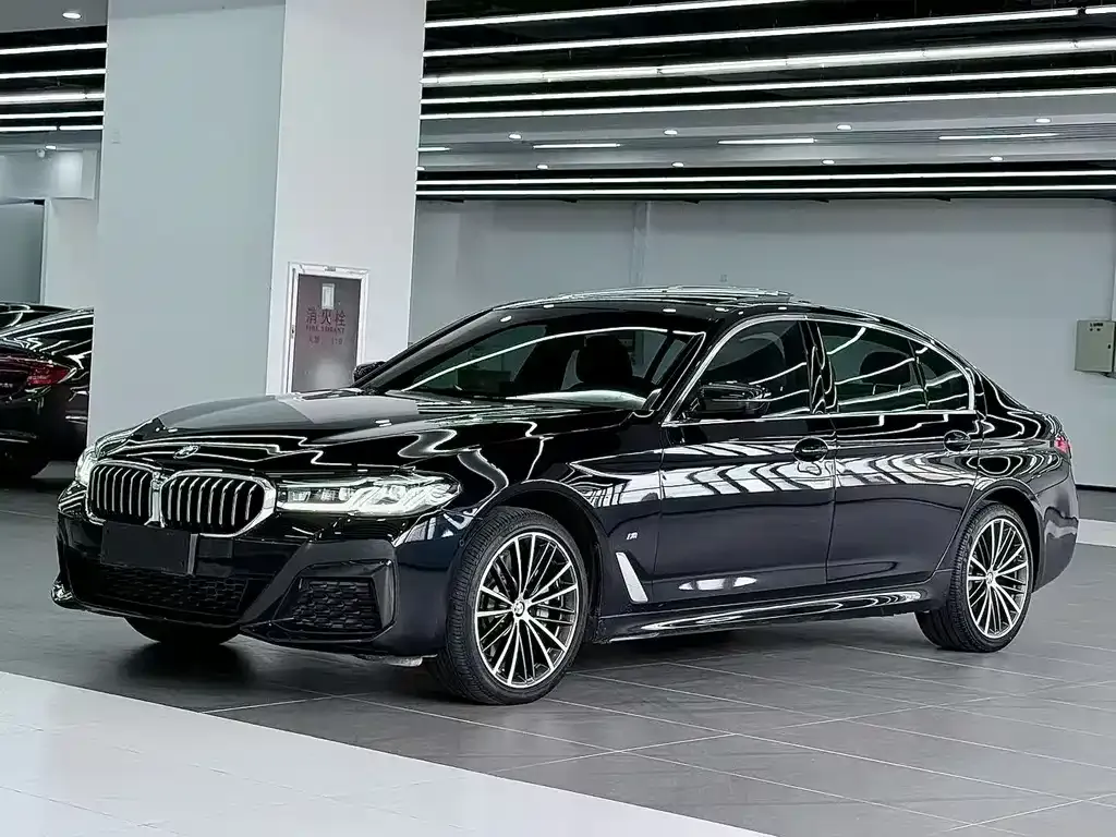 BMW 5 Series 2022 из CN, фото 1