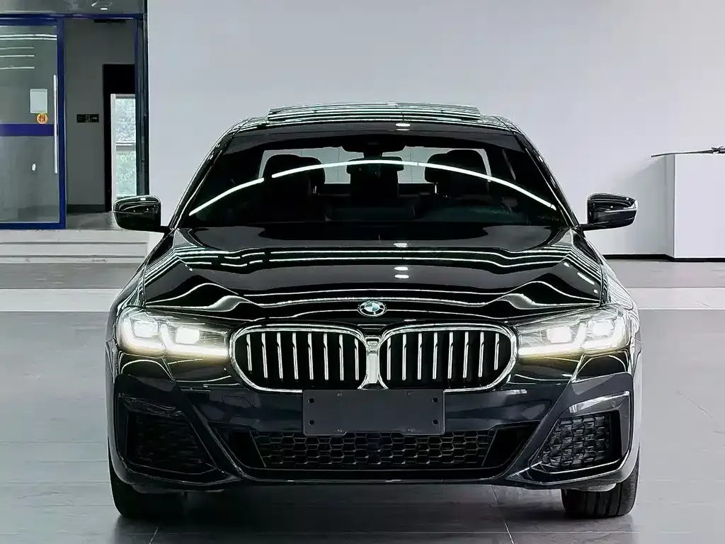 BMW 5 Series 2022 из CN, фото 2