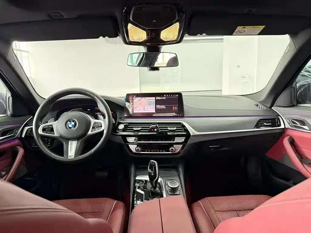 BMW 5 Series 2022 из CN, фото 6