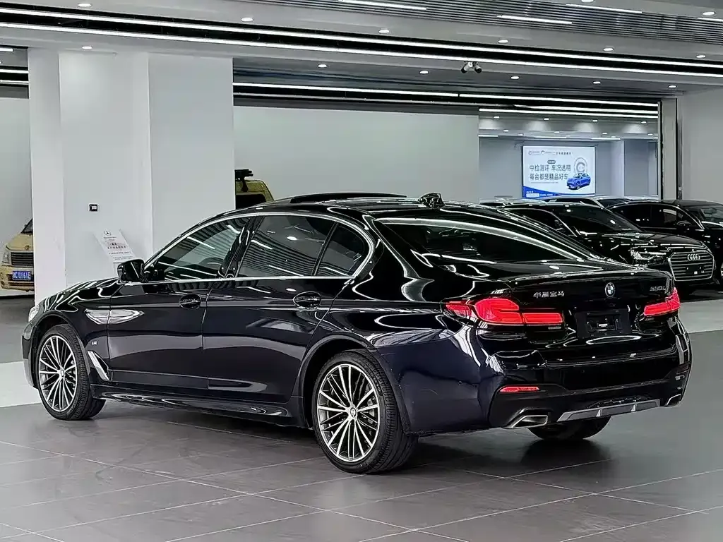 BMW 5 Series 2022 из CN, фото 8