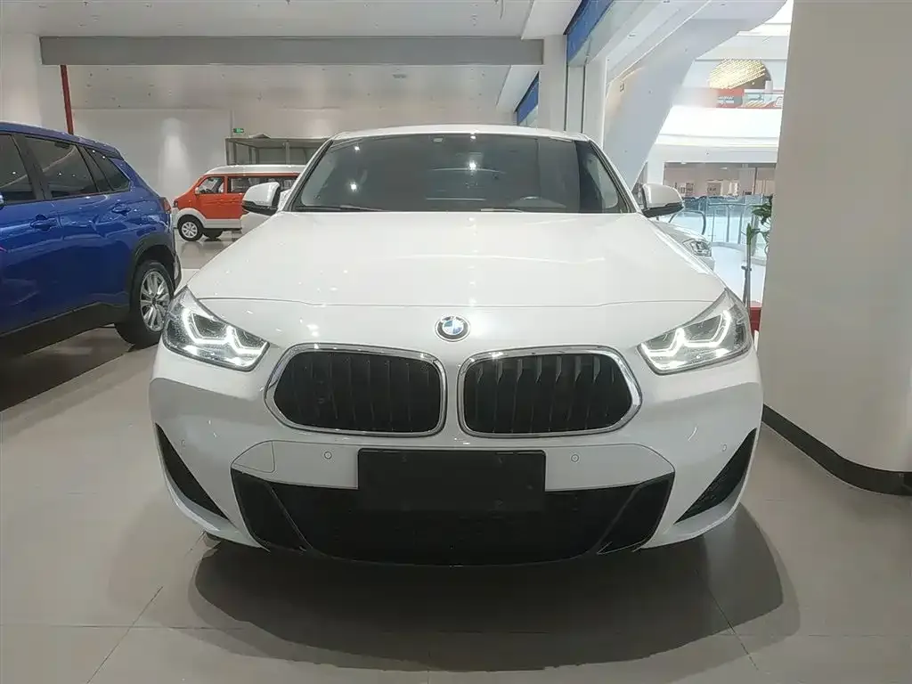 BMW X2 2022 из CN, фото 3