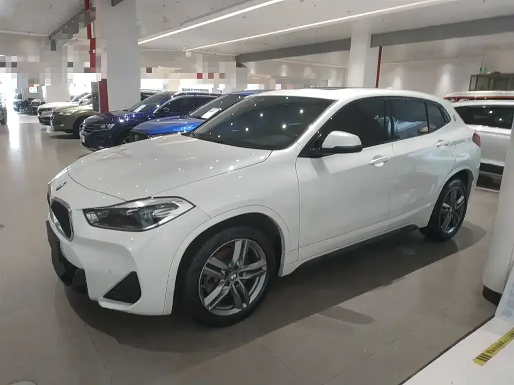 BMW X2 2022 из CN, фото 5